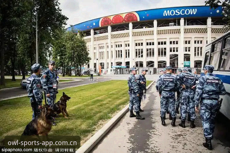 猫头鹰体育流畅数据 为什么本届世界杯只有3名英国警员赴美?安保缩减背后的博弈与影响